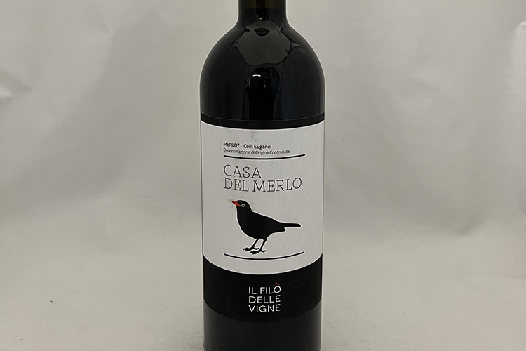 filo-delle-vigne.jpg